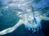 ydhs-h20