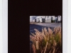 polaroid13