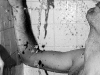 shower-me